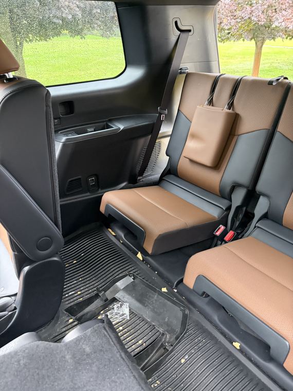 Lexus, second row after detailing by Aero Detailing, South Lyon MI